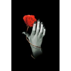  Луксозен тефтер Rose Hand